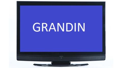 TV LCD GRANDIN LV32W10