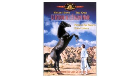 Le Retour de l'Etalon Noir - DVD