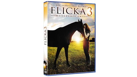 Flicka 3 : Meilleures amies - DVD