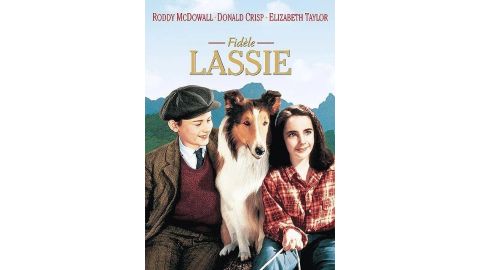 Fidèle Lassie - DVD