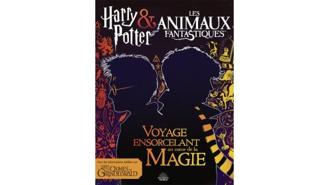 Harry Potter & Les Animaux fantastiques - Voyage ensorcelant au cœur de la magie - livre