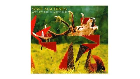 Wave Machines – Wave If You're Really There - CD Audio