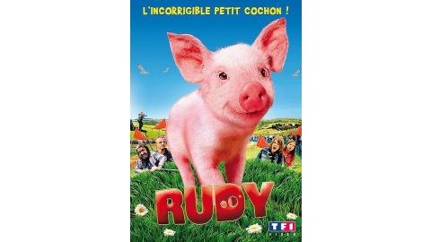 Rudy, L'incorrigible Petit Cochon ! - DVD