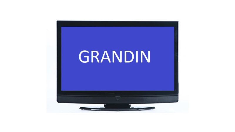 TV LCD GRANDIN LV32W10