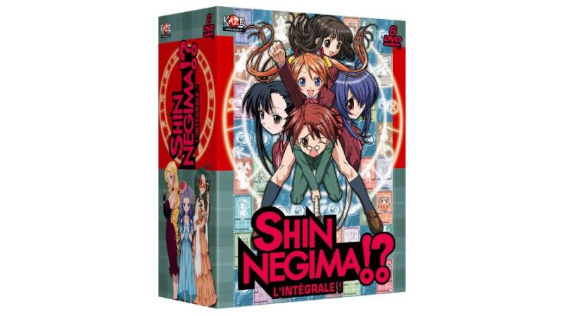 Shin Negima - L'intégrale - DVD