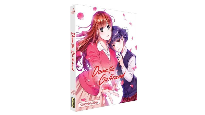 Domestic Girlfriend - Love X Dilemma - Saison intégrale - Blu-ray