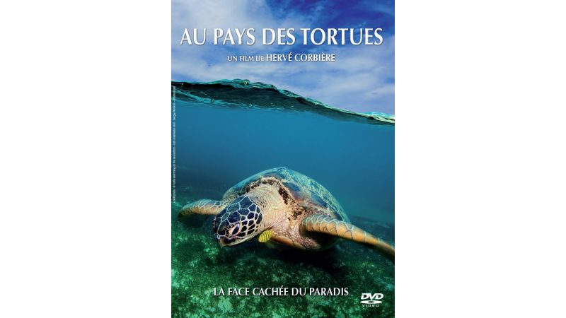 Au pays des tortues - DVD