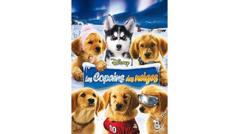 Les Copains Des Neiges - DVD