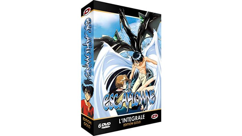 Escaflowne - Edition Gold Collector Intégrale - DVD