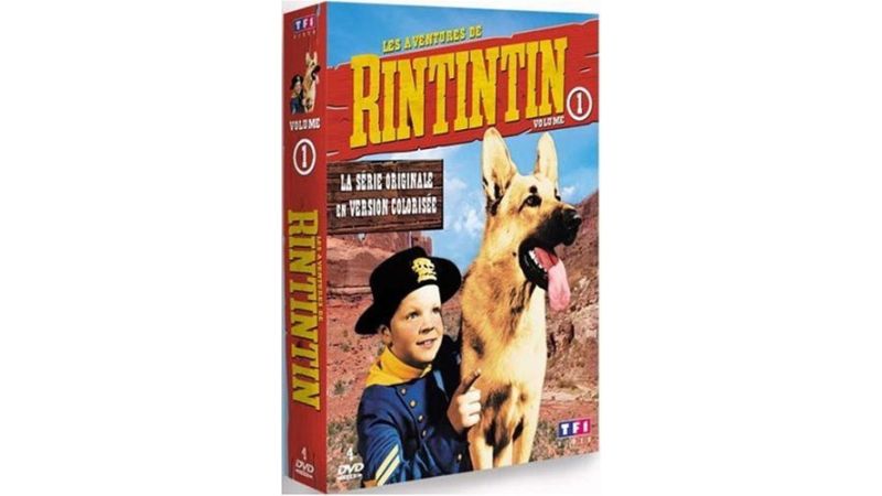 Les Aventures de Rintintin - Saison 1 - DVD